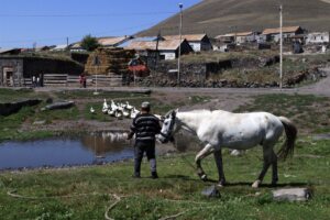 Nizak.media https://www.nizak.media